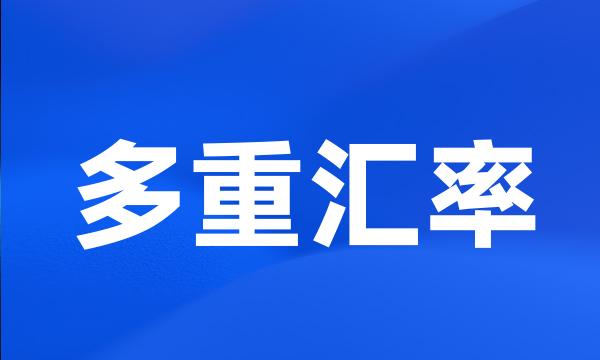 多重汇率