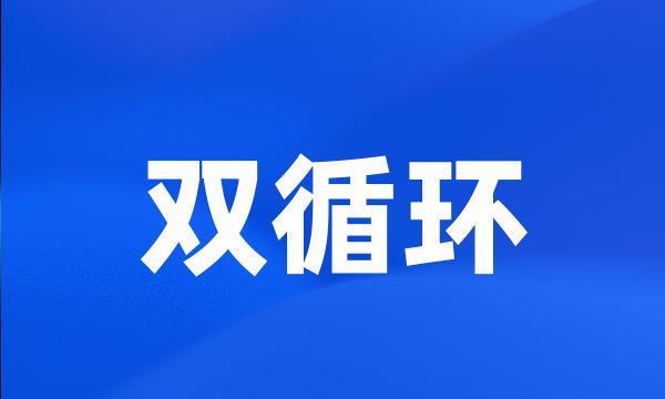 双循环