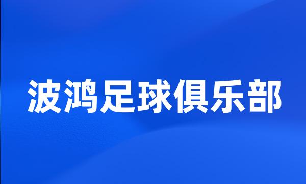 波鸿足球俱乐部