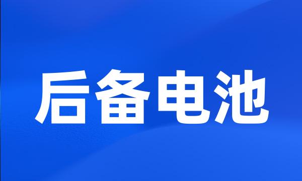 后备电池