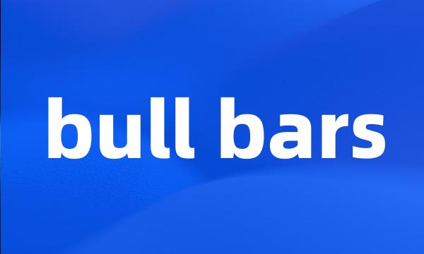 bull bars