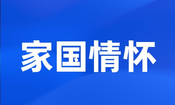 家国情怀