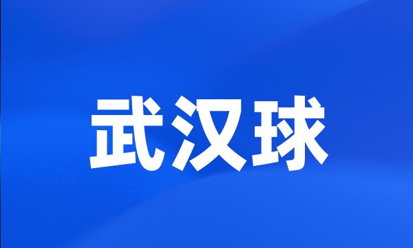 武汉球