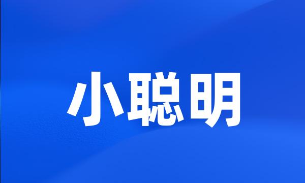 小聪明