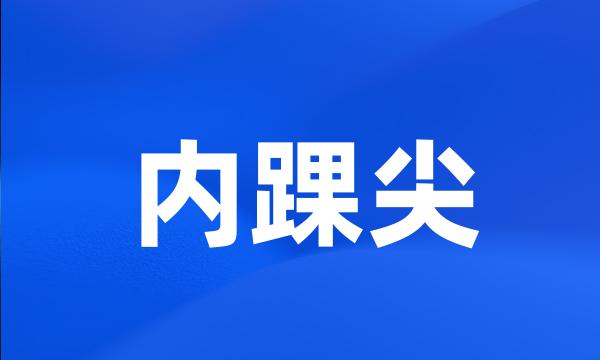 内踝尖