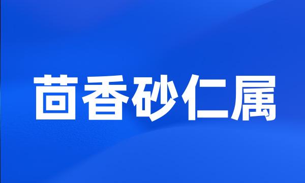 茴香砂仁属