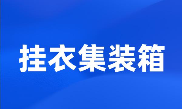 挂衣集装箱