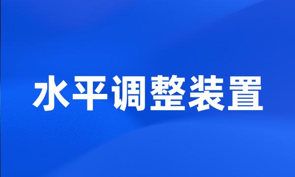 水平调整装置