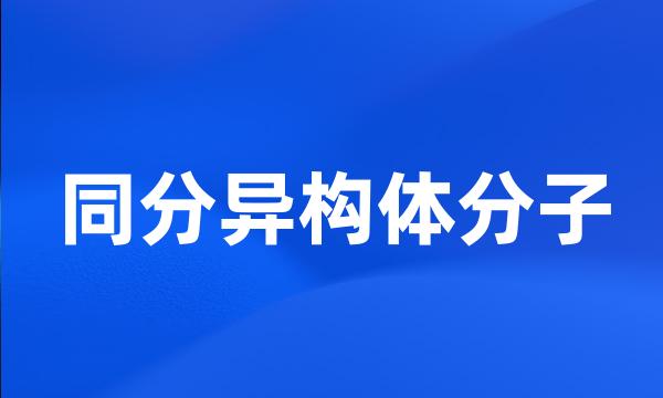 同分异构体分子