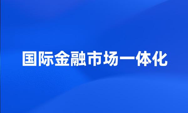 国际金融市场一体化