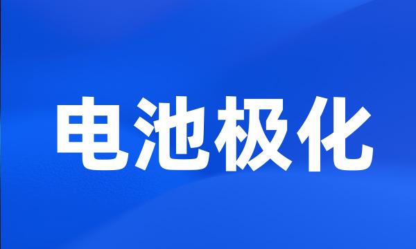 电池极化