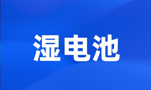 湿电池