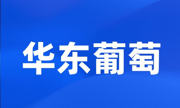 华东葡萄