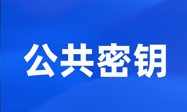 公共密钥