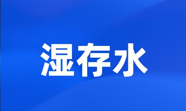 湿存水