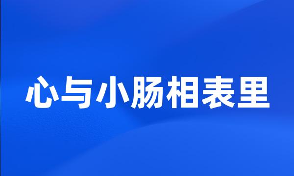 心与小肠相表里