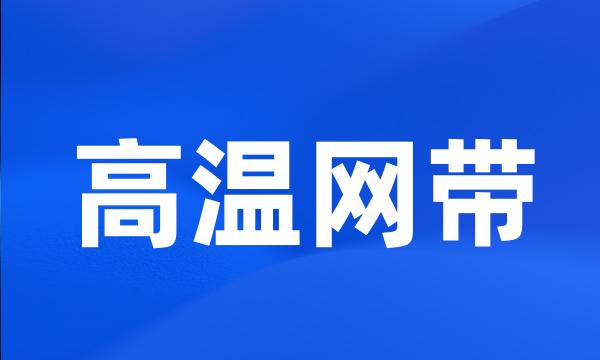 高温网带