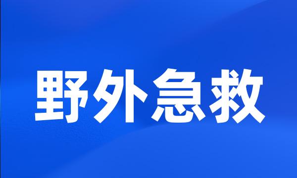 野外急救