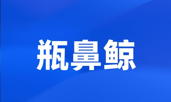 瓶鼻鲸