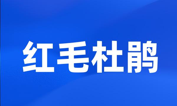 红毛杜鹃