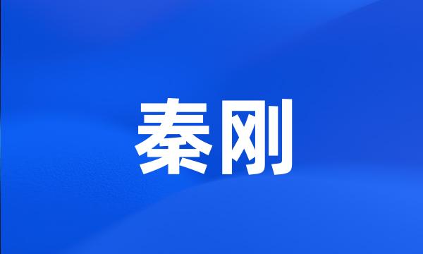 秦刚