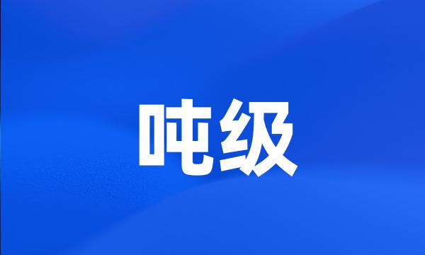 吨级