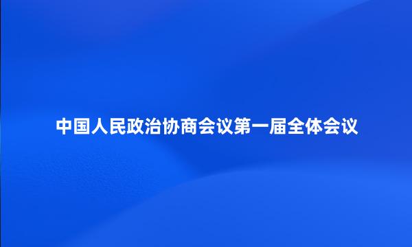 中国人民政治协商会议第一届全体会议