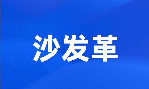 沙发革