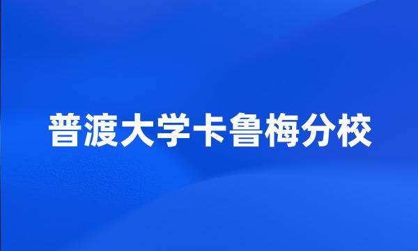 普渡大学卡鲁梅分校