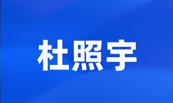 杜照宇