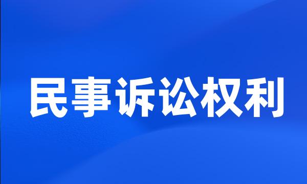 民事诉讼权利