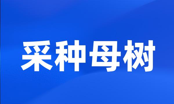 采种母树