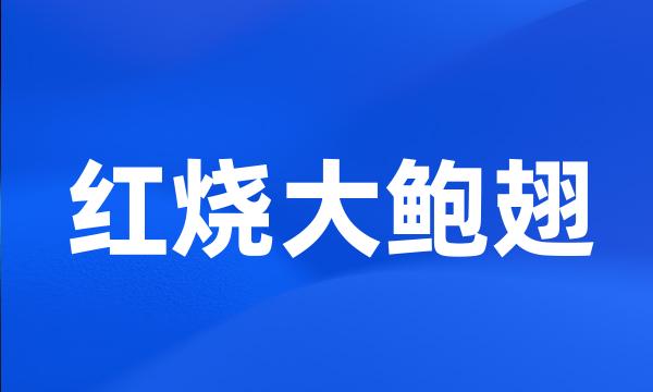 红烧大鲍翅