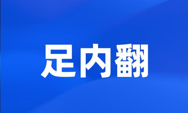 足内翻