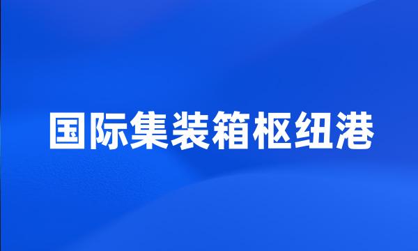 国际集装箱枢纽港