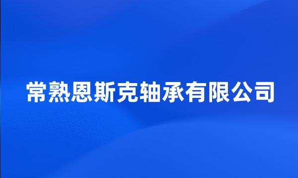 常熟恩斯克轴承有限公司