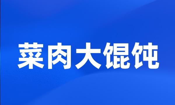 菜肉大馄饨