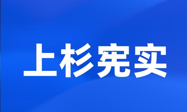 上杉宪实