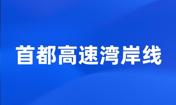 首都高速湾岸线