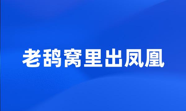 老鸹窝里出凤凰