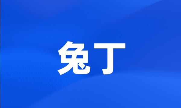 兔丁