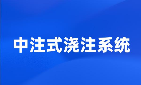 中注式浇注系统