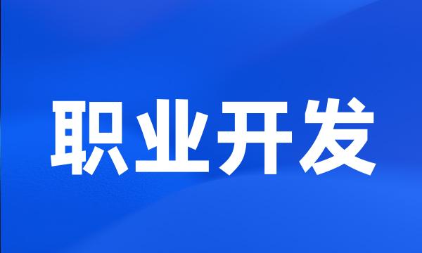 职业开发