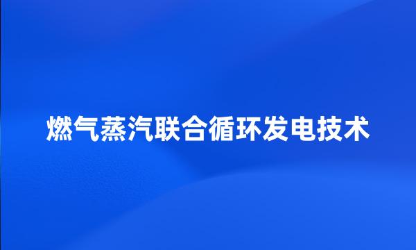 燃气蒸汽联合循环发电技术