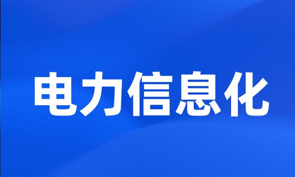 电力信息化