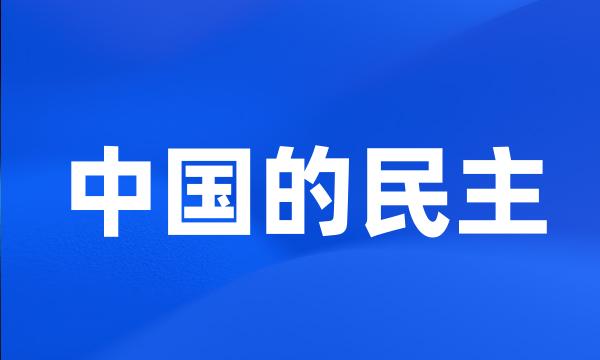 中国的民主