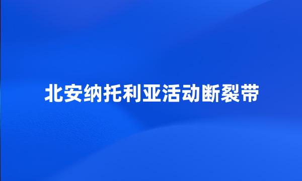 北安纳托利亚活动断裂带