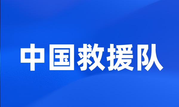 中国救援队