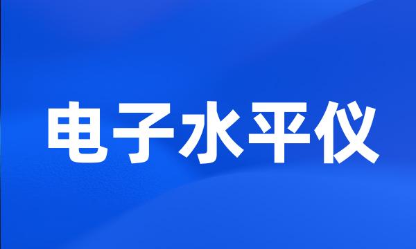 电子水平仪