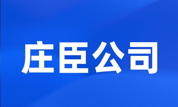 庄臣公司